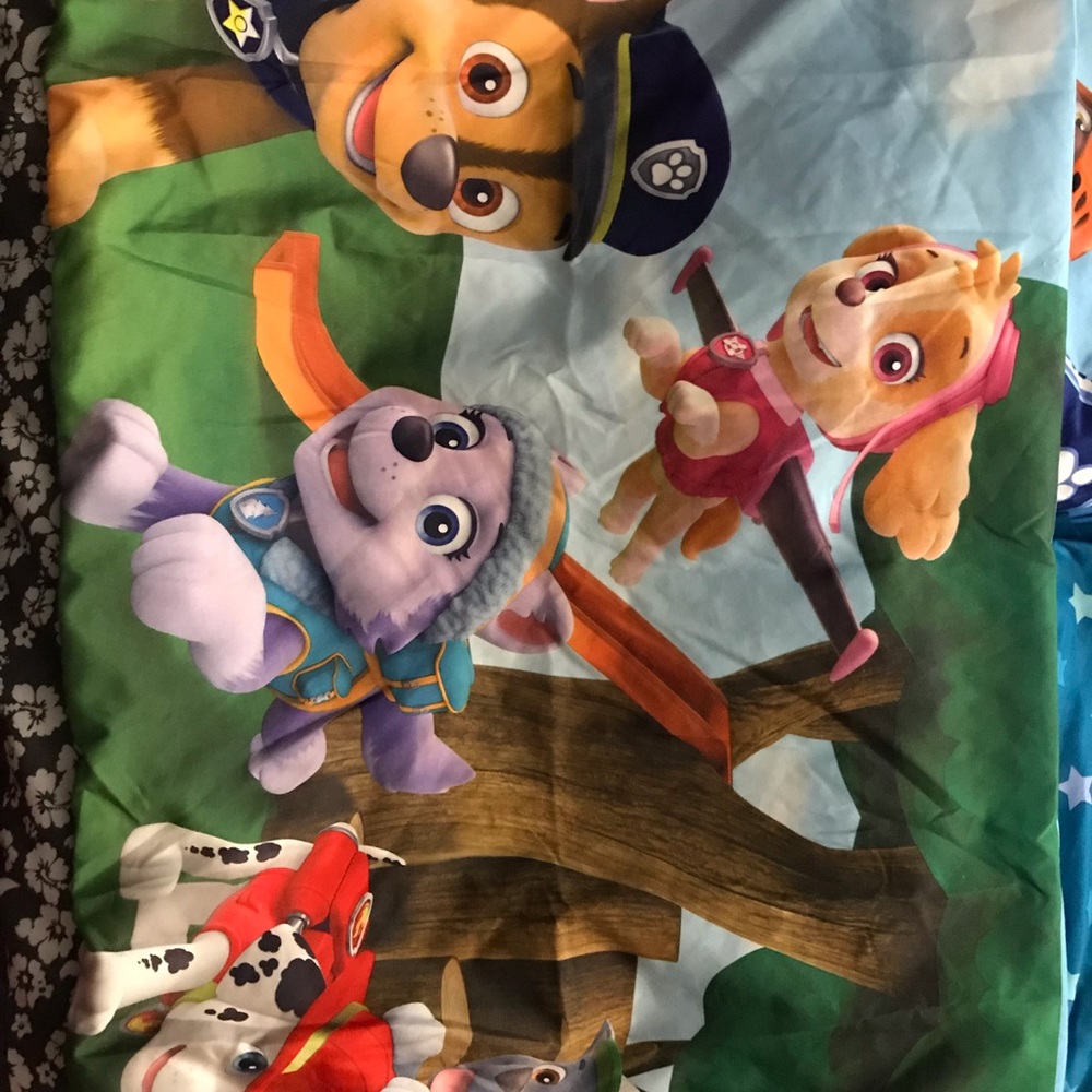 Used Twin Paw Patrol bed set